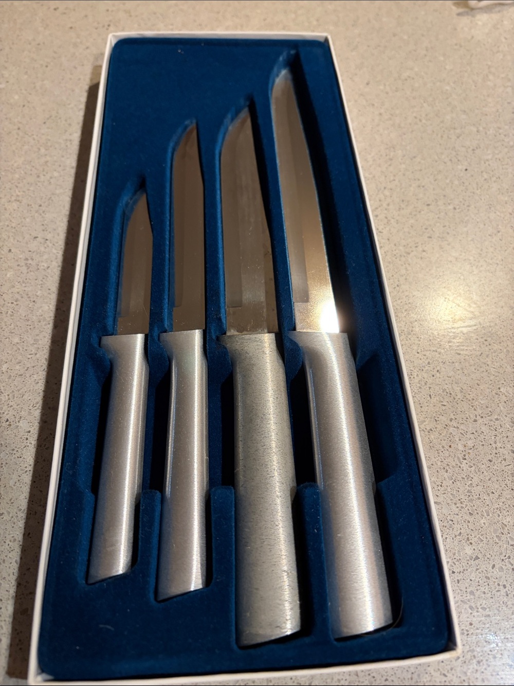 4-Piece Silver Stainless Steel Knife Set - Sleek Kitchen Cutlery